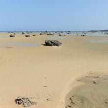 佐和田の浜は遠浅の浜である。
