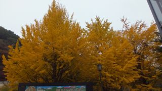 もみじ祭り始まりから約10日後の高尾山2014