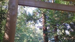 神聖な気分になります