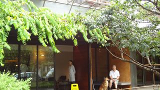 厳選材料の甘酸っぱいパイナップルケーキ