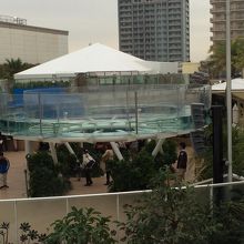 サンシャイン水族館