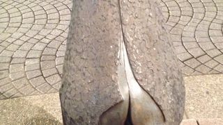 フィンランド作品