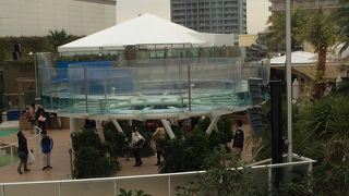 １歳３か月の子どもを連れていきました