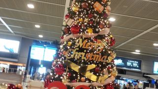 Narita Christmas　2014