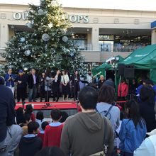 クリスマスツリー点燈会をしていました。