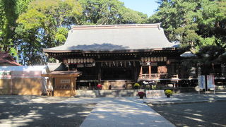 真っ赤な鳥居が目をひきます