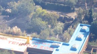 入場料が安いです