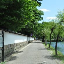 埋木舎に沿った松並木