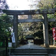 狭い間口には非常に大きい鳥居です