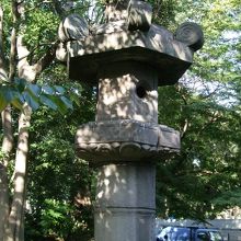 高さが６ｍ以上もあります