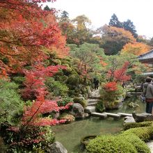 11月15日、庭園はご覧の通り