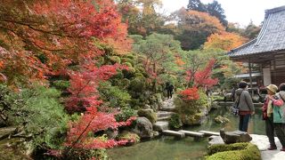 15日現在、一週間早かった