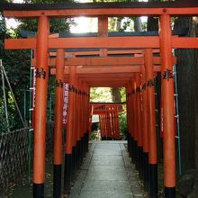 赤い鳥居が整然と続きます