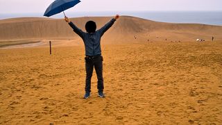 これは本物、日本随一の砂丘