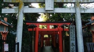 連なる赤い鳥居が美しい！