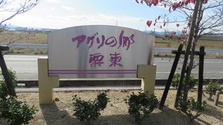 栗東の魅力いっぱい