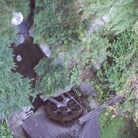 ベランダからの眺め