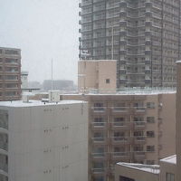 ツインルーム 9階 眺望 東向き