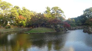 紅葉には少し早かったが、素晴らしい庭園を堪能。
