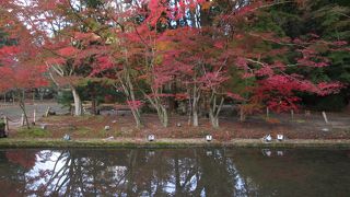 池と紅葉のコラボレーション