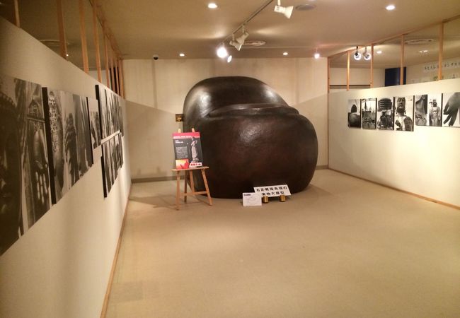 親指の爪の展示です。