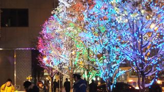 大通ビッセ　ウィンターイルミネーション2014