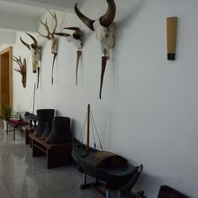 廊下の飾られた水牛や象の足