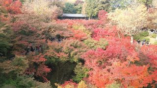 東福寺にある通天橋は紅葉の名所としてあまりにも有名。