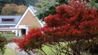 伊豆にゆかりのある文学者の資料を展示する博物館