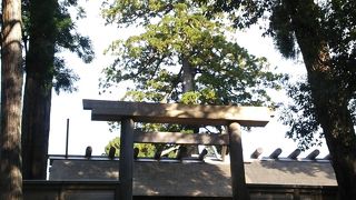 個人的なお願い＾＾；