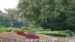 幼児から年配の人まで楽しんでいます