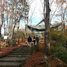 木に囲まれて良い感じ