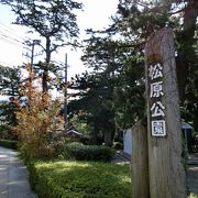 海岸沿いの花時計のある公園