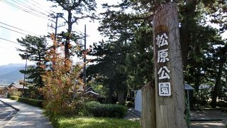 海岸沿いの花時計のある公園