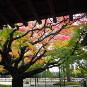 まるで京都。見事な紅葉の名所！