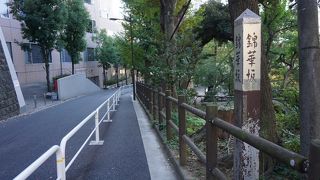 公園はけっこう殺風景だし、坂の往来も人影がまばらです