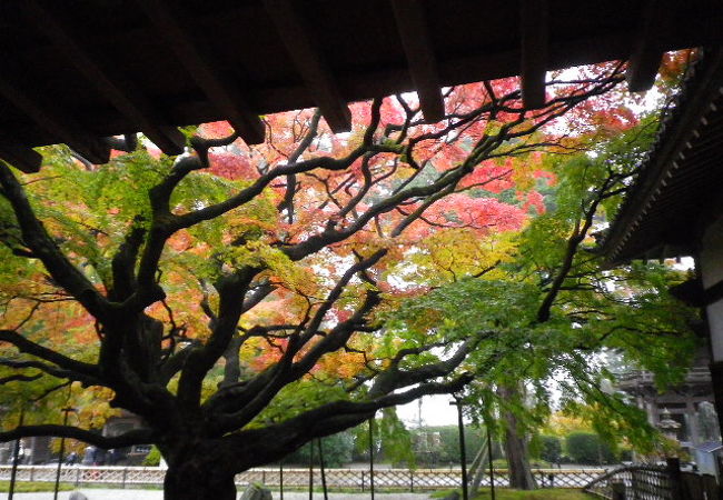 まるで京都。見事な紅葉の名所！