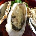 的矢牡蠣を堪能