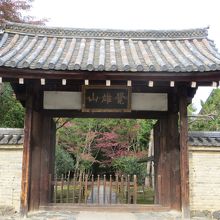 山門から参道を眺める。