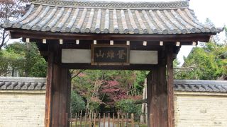 紅葉の始まり。(11月12日)