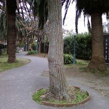 不思議な公園でした。