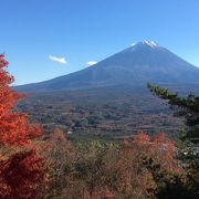 富士山の樹海一望