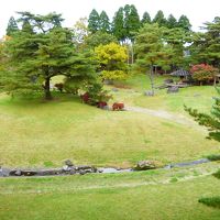 部屋の窓からは日本庭園が眺められます。