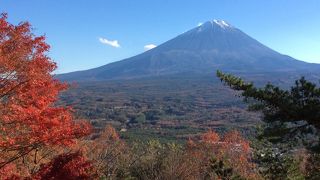 富士山の樹海一望