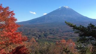 富士山の樹海一望