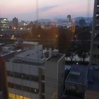 室内からの景色
