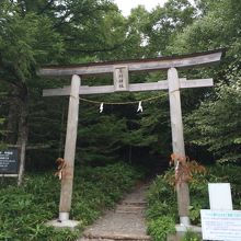 蓼科神社の鳥居からスタート。