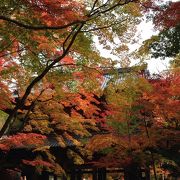 ぜひ行きたい！紅葉が美しいお寺！