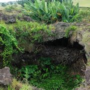 溶岩台地の窪地や洞窟を利用した畑兼隠れ家だった場所