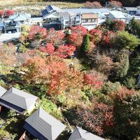 窓からは紅葉の風景が楽しめました。